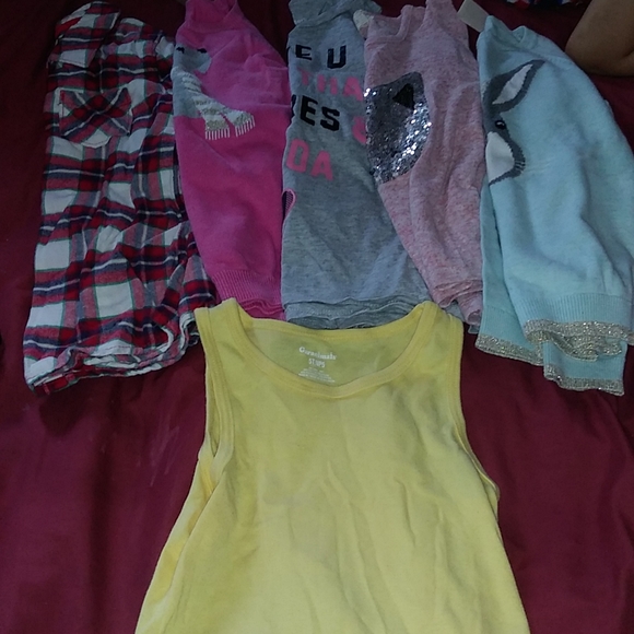 5T Toddler Girl Top Bundle( 13 pcs) - Picture 3 of 3